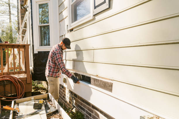Top rated local Siding Replacement specialists in Albion, IL
